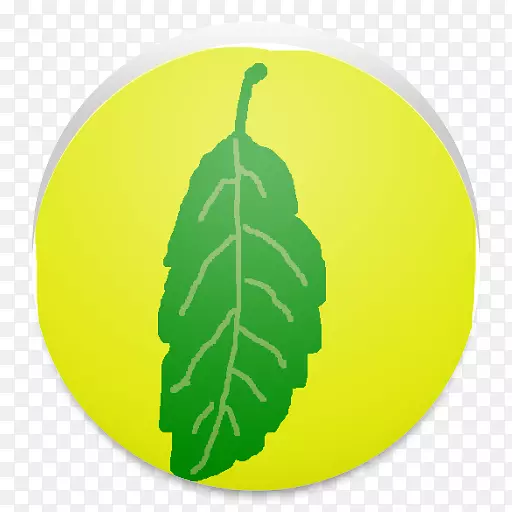 AndroidӦ�ó����Ӧ�����������ֻ�-android-������