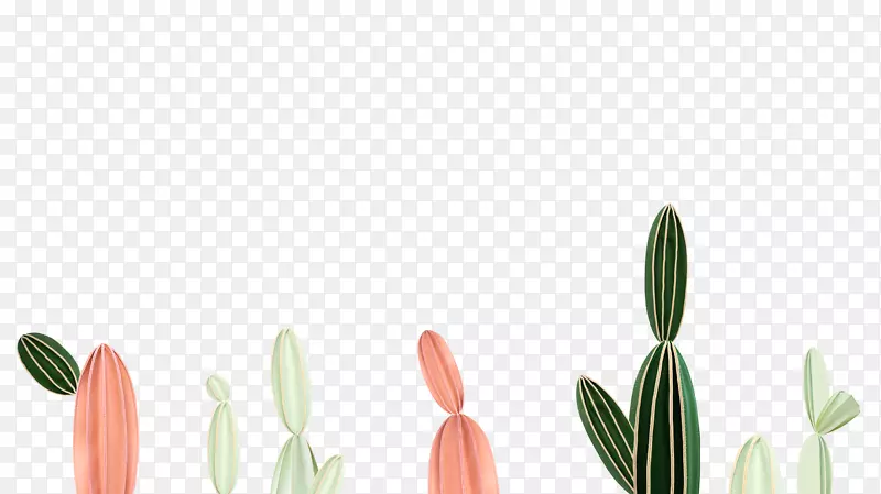 �����и��������������޹�˾�������ƴ���������ƿ���ֲ��-����������-������