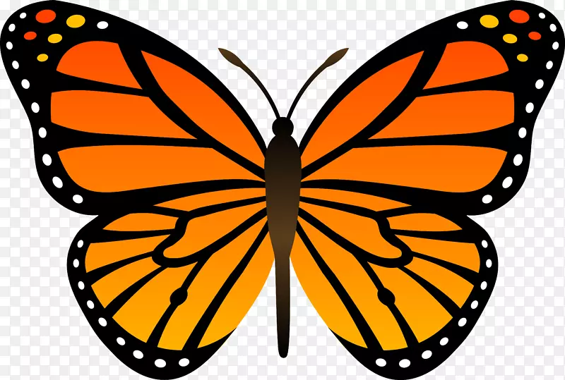 �����������������-����������-������