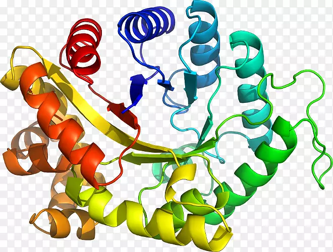 �������л�����������-������