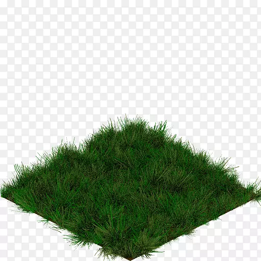 �ݱ�ֲ��-������