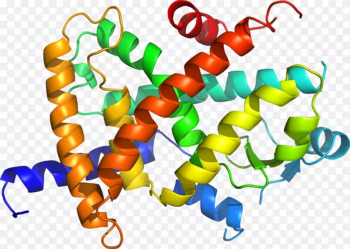 �鱦����������л���-������