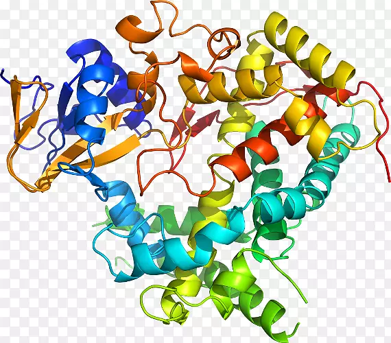 �������л�����������-������