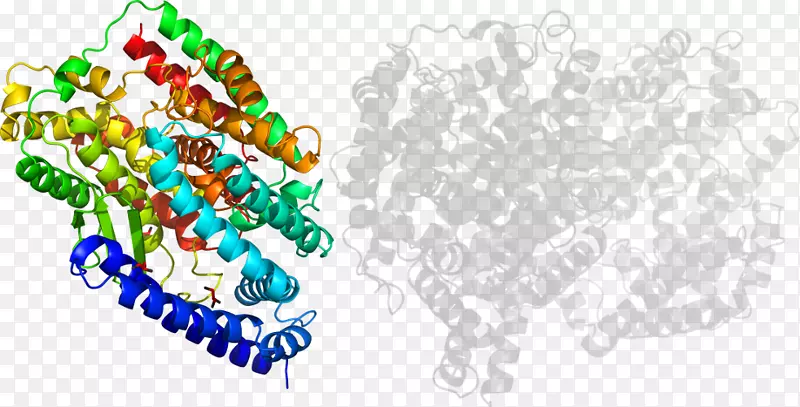 �廭�����л�����������-WVU����-������