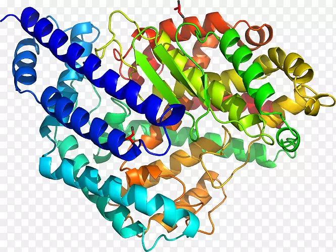 ��������鱦���β�Ʒ-WVU����-������