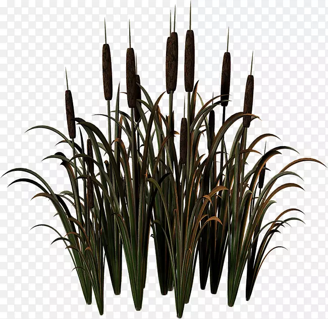 ������������������ݻ����ռ�-������