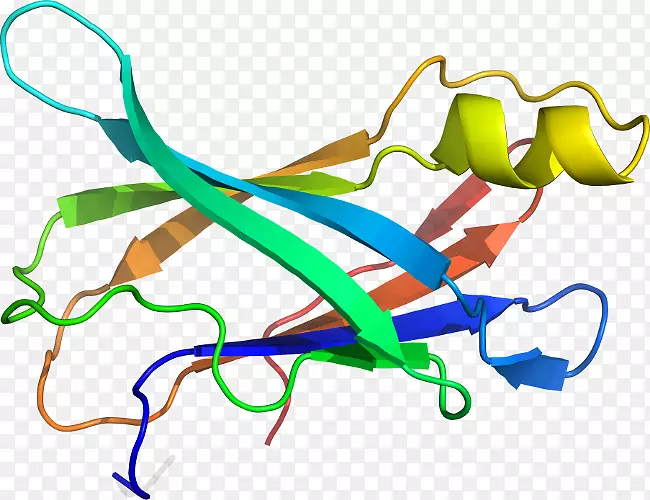 �����������ߵ�ֲ�ﾥ-������