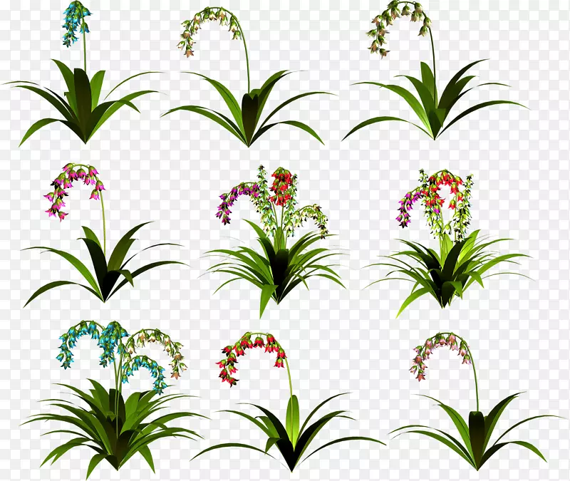 ������Ƽ���������pngͼƬ-������