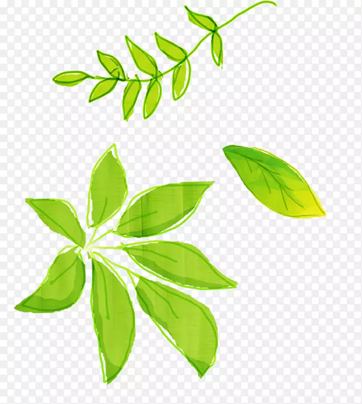 pngͼƬͼ�β�ͼͼ��ˮ�ʻ�.��Ҷ-������