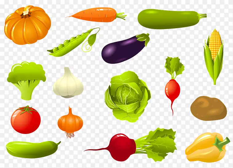 ��ʳ���ͼ���߲˼�����ˮ���߲�-������