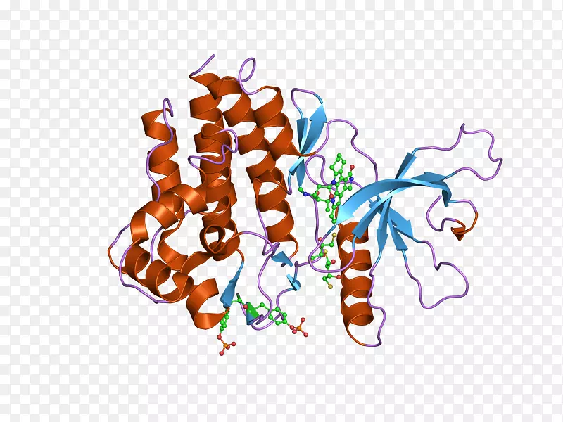 �廭������Ʒ�л���-������