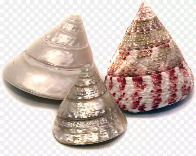 �����ʼ�����Ӣ�ﺣ-������