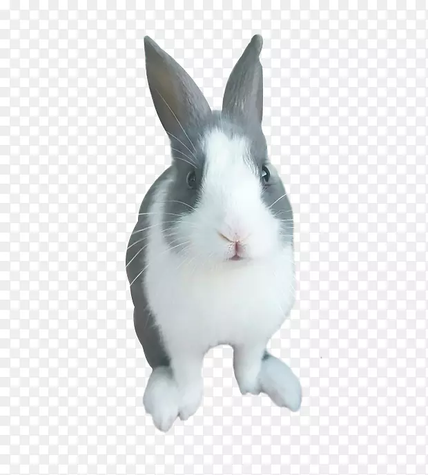 ��������-������