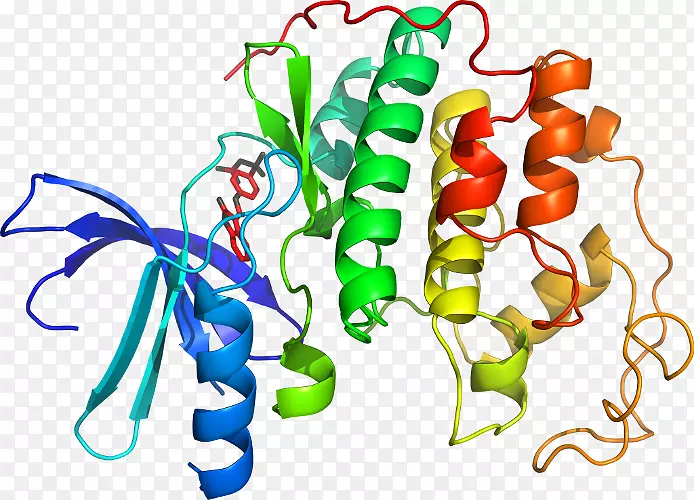 �������л���ֲ��ϵ����-������