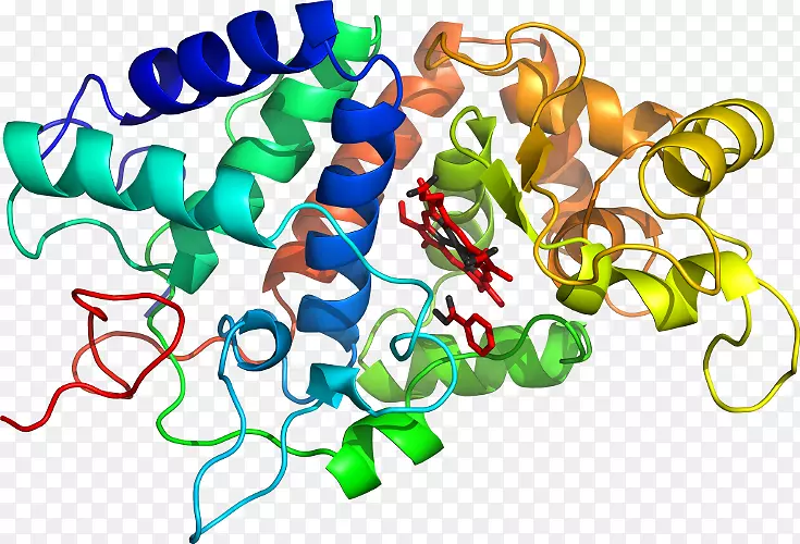 �������л����������β�Ʒ.ާ��ֲ������-������