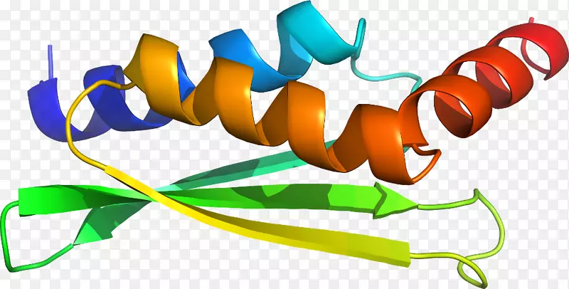 ��������Ʒ�л����߳�ɫS.A��-������