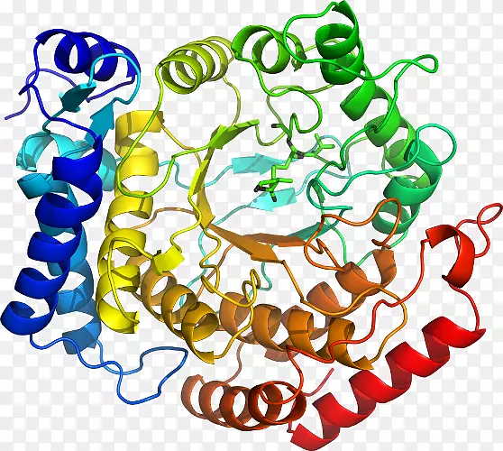 �������л�����������-������