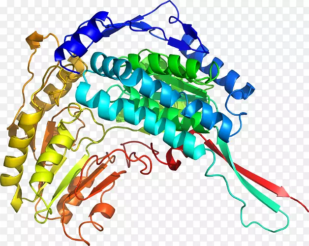 �������ߵ��л���-IHC-������