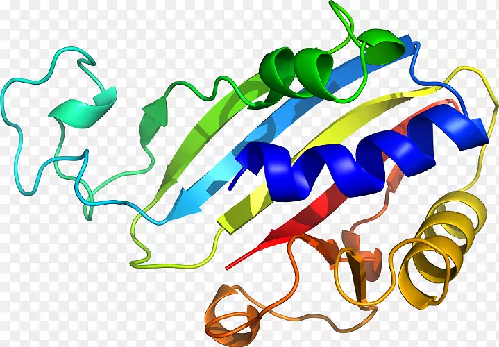 ��������Ʒ�л����߶���-������