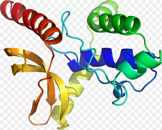 �������޼�׵�����߶������-������