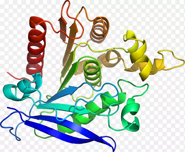 ��������Ʒ����л�����-������