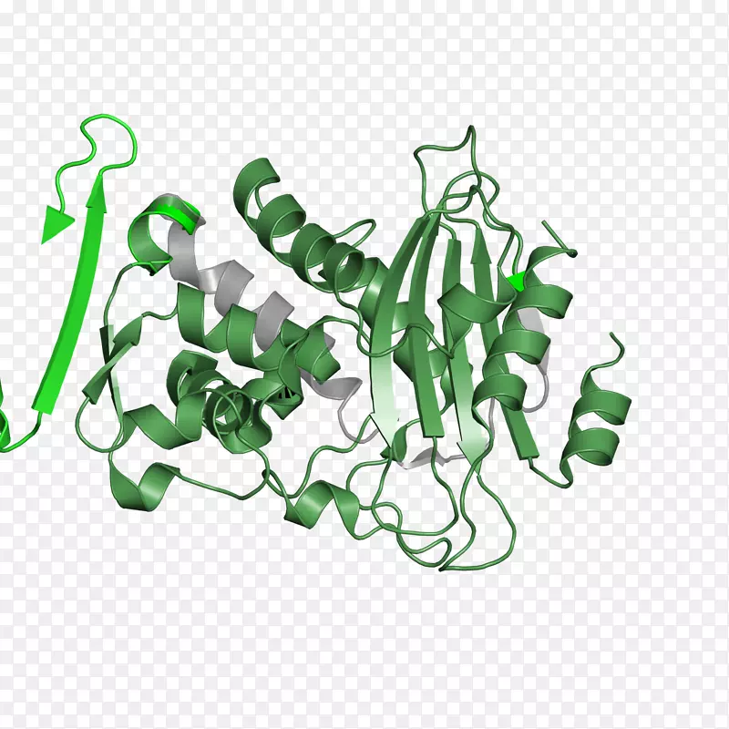 �������廭��������-������