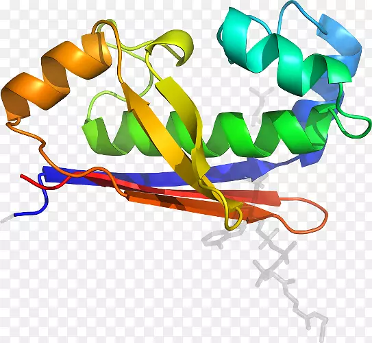 ��Ʒ��Ƽ�����ϵ��-������