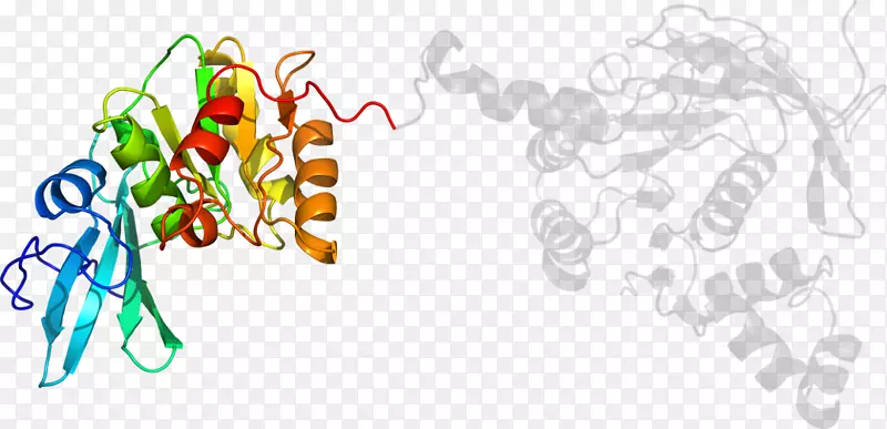 ��ͼ��������Ʒ����л���-������