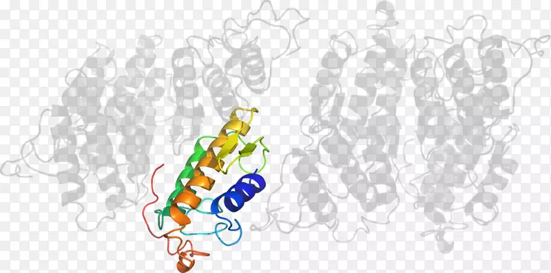 ��ͼͼ����������Ʒ�л���-������