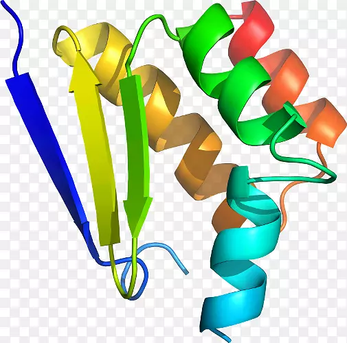 ������������ֲ�ﾥ����-������