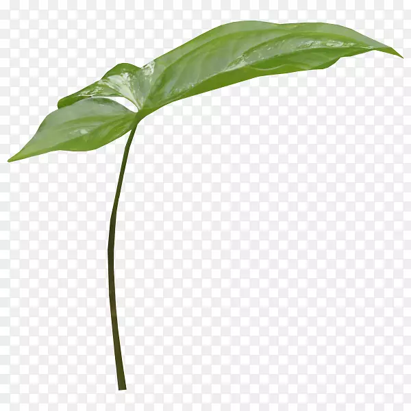 pngͼƬͼ��adobe Photoshop��װ��PostScript����.����ͼ-������