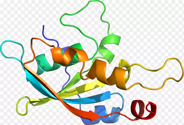 ��������Ʒֲ�ﾥ�߶���.�������ͪ��-������