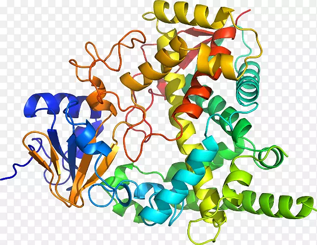 ��������Ʒ�л����߶���-������