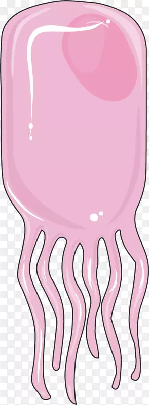 �ҹ�Ĥ������ϵͳϸ����-������