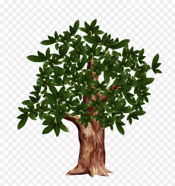 ����ֲ����ͼ�μ�������ͼ��PSD-��-������