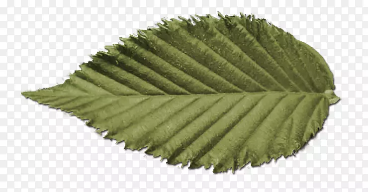 �Գ���-������