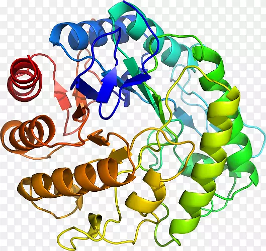 �������л��������鱦����ˮ��ø-������