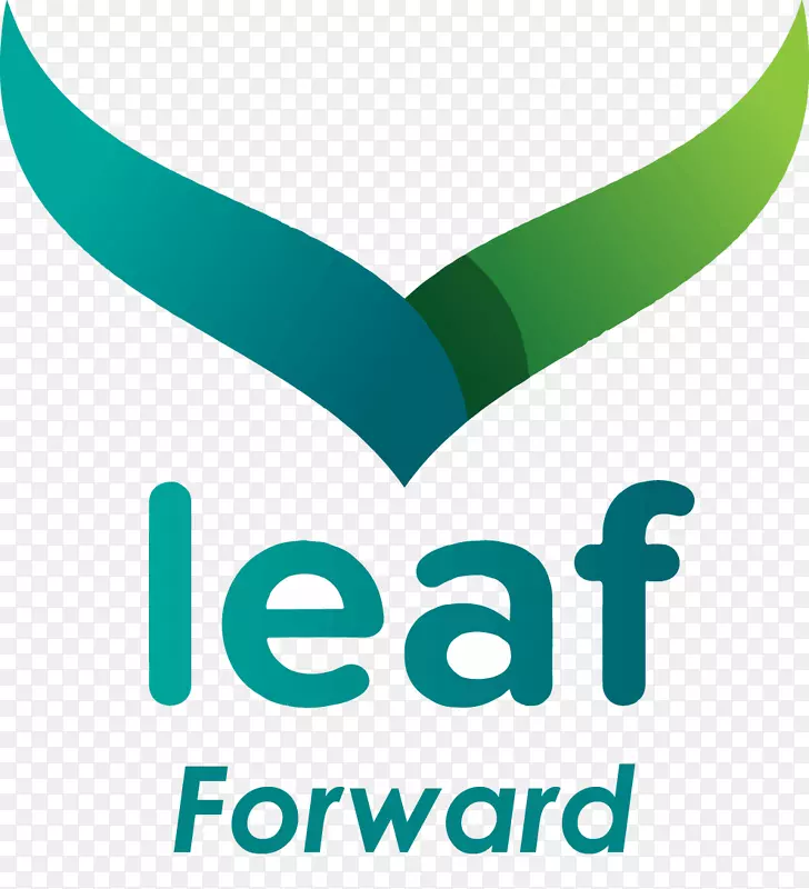 �ձ�Ҷ�鹫˾��������ƷƷ��-������