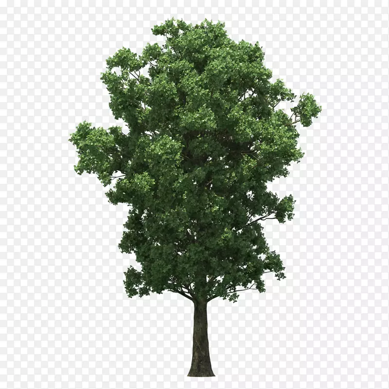 ���Ϳ���ֲ����ͼ��ͼ���������-���۰�װ-������