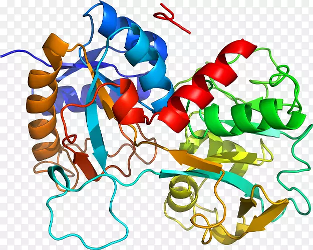 �������ߵ��Ʒ�л���-������