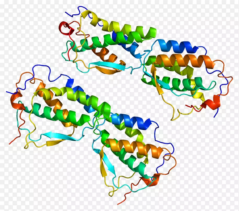 �������л�����������-������