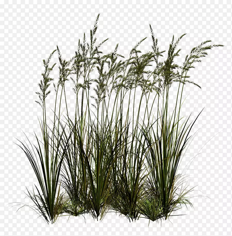 pngͼƬ��������ͼ������-������