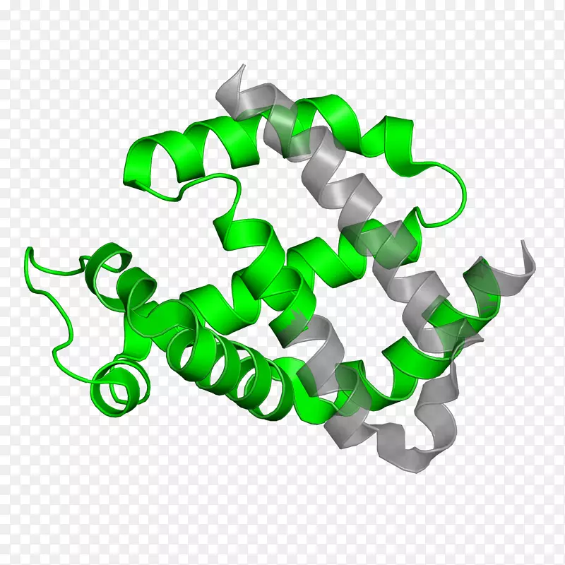 ��������Ʒ�߶���-������