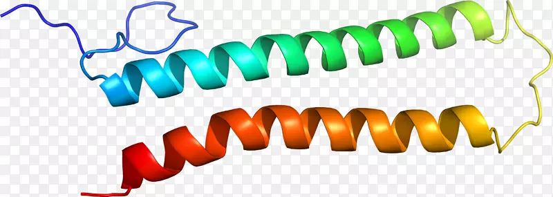 ��Ʒ��Ƽ�����ϵ��-FYI-������