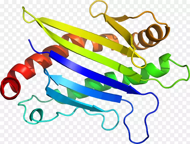 ������ʳƷֲ�ﾥ�߶���-������