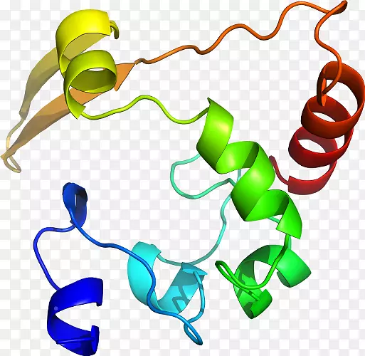 �������л�����������-����צ��-������