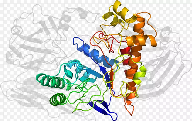 ��������ͼƽ������л���ͼ��-������