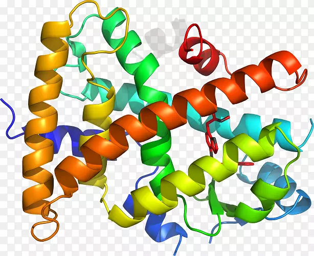 ��������Ʒ�߶���-������