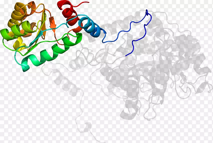 ��������Ʒ�л����߶���-������