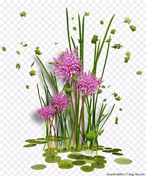 pngͼƬͼ���������ͼ-������